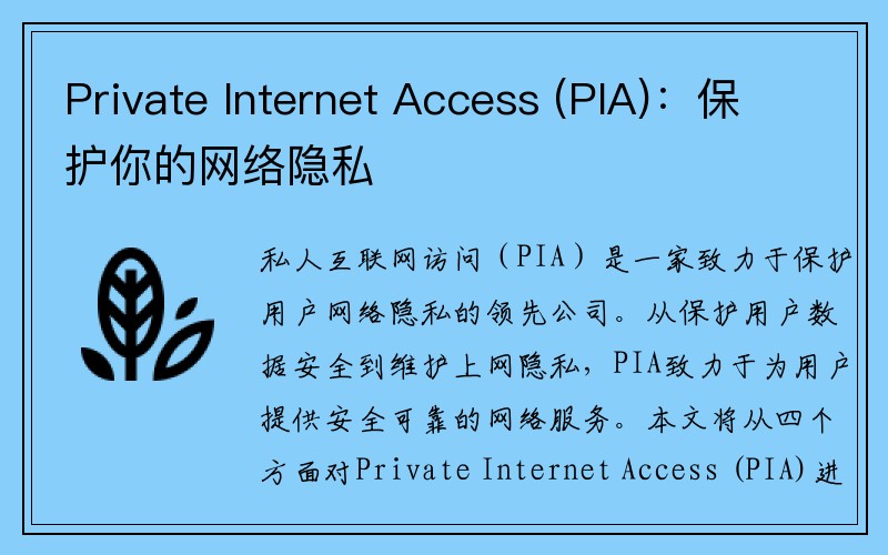 Private Internet Access (PIA)：保护你的网络隐私